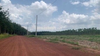ĐẤT NGAY KHU ĐÔ THỊ MỚI CHƠN THÀNH, GẦN TRUNG TÂM HÀNH CHÍNH