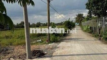 ĐẤT TẠI CẦN GIUỘC | CÁCH TPHCM CHỈ 10KM | GIỎ HÀNG HƠN 100 NỀN