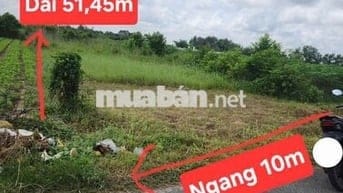 Đất sổ đỏ 514,1 m2. Phước Thạnh, Gò Dầu, Tây Ninh