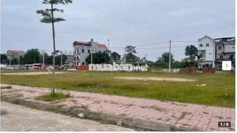 Chính chủ cần bán đất đấu giá Thụy Lôi, Tiên Lữ, Hưng Yên (đã có sổ)