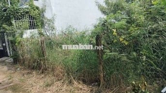 BÁN ĐẤT THỔ CƯ – PHƯỚC HẬU, CẦN GIUỘC, LONG AN - 207M2  - GIÁ 2.5 TỶ.