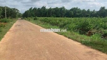 Vị trí đắc địa:
Cách Sân bay Quốc tế Long Thành