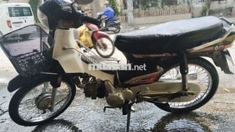 Xe Dream ngon giá rẻ