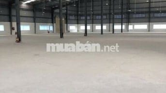 Cho thuê kho xưởng 8.500m2, KCN Tân Đô,Tân Đức,Hải Sơn,Đức Hòa,Long An