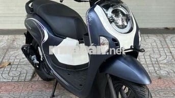 Scoopy 2025 - New 100%