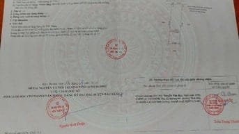 Bán đất cao su phường Long Nguyên Bàu Bàng 