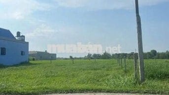 HÀNG HIẾM ĐẤT THỔ CƯ MT LÊ THỊ SẮT TÂN PHÚ TRUNG