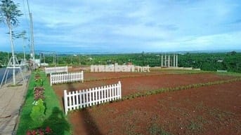 ĐẤT NỀN THỔ CƯ SỔ SẴN CÁCH NÚT GIAO CAO TỐC DẦU GIÂY-LIÊN KHƯƠNG 2KM