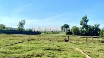 140m2 mặt tiền Lê Thị Vui 360Tr cách trường học + UBND Phước Hiệp 500m