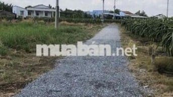 Cần bán khu đất vườn ven sông Tầm Vu, Long An