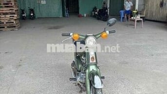 Cúp Cánh Én Zin Siêu Sịn