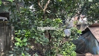 Bán nhanh 48m2 đất thượng cát, đường trước nhà xe tăng chạy