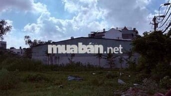 Cho thuê nhà xưởng lớn khu vực Hóc Môn