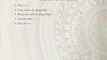 Chính chủ bán nhà mặt đường, nhiều tiện ích xã hội, tiềm năng tăng giá