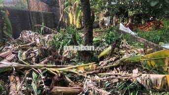 Đất 90m2 ngang 4,5m dài 20m Vân Tra, An Đồng giá 2,65 tỷ đồng