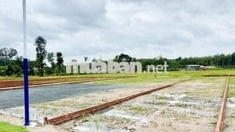 MINH THẮNG CENTRAL LAND – CƠ HỘI VÀNG ĐẦU TƯ BÌNH PHƯỚC!