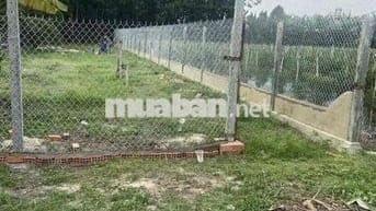 Bán đất 436m² (8×54m), thổ cư 130m², 2,1 tỷ (4,8 triệu/m²), Trảng Bàng