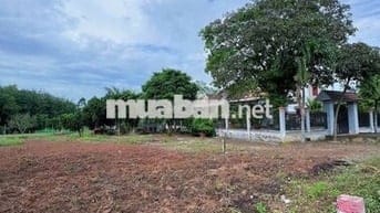 Chính chủ cần bán đất tại An Linh, Phú Giáo, 500m2(10x50), 800 triệu