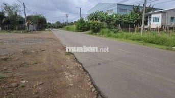Bán 1sao2. Đất full hồng, vườn trái cây đủ loại
Giá Ngộp