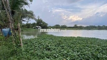 ĐẤT NÔNG NGHIỆP ĐẸP 4502M2, NGUYỄN BÌNH, NHƠN ĐỨC, CHỈ 2,4Tr/m2