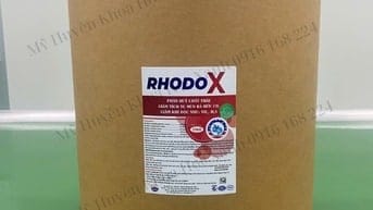 🌿 RHODO X – Chế phẩm sinh học xử lý nước cao cấp cho ao nuôi tôm cá
