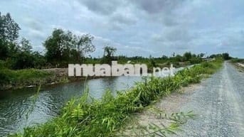 🌷Đất vườn dt 1001m giá 890tr.mặt tiền view kênh thạnh Hòa bến lức.