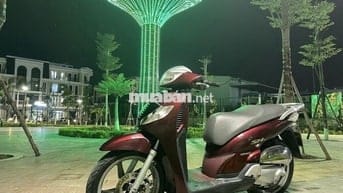 Sh 150 mận chín