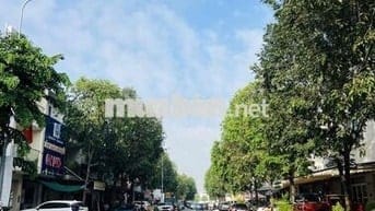 mặt tiền đường N1 khu D2D chính chủ
