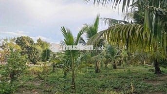 BÁN NHÀ VÀ ĐẤT NGHỈ DƯỠNG Ở BÊN TRE