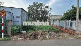 Bán đất mặt tiền nhưa 7x42mchâu đức bà Rịa vũng tàu 1ty250