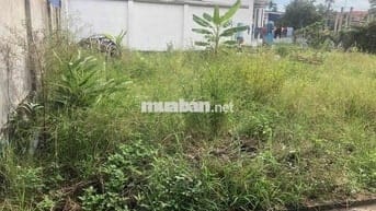 Đất 68m2 ngang 5m Thôn 2 Bắc Sơn, An Dương giá 1,57 tỷ đồng