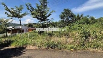 ĐÁT NỀN GIÁ NGỘP MẶT TIỀN THÔN 3 TÂN LẠC