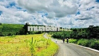 BÁN ĐẤT VIEW ĐỒI CHÈ VÀ SUỐI – XÃ LỘC PHÚ, TP. BẢO LỘC