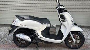 Scoopy 2025 - New 100%