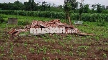 BÁN ĐẤT NỀN GIÁ RẺ – XÃ LÂM SAN, HUYỆN CẨM MỸ, ĐỒNG NAI 🌳