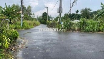 Đất nền giá rẻ ngay trung tâm Tp Bến
