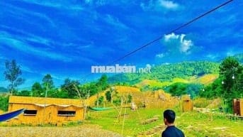 Bán khu vườn sinh thái Đà Nẵng. Mời cả nhà
Vườn Đà Nẵng gần 10.000m2