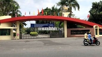 ✅NHÀ ĐẸP FULL NỘI THẤT VIEW CÔNG VIÊN MT Chợ Lớn💥4x18m 4 Tầng ở ngay