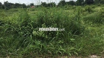ĐẤT TÂN PHÚ TRUNG GIÁ ĐẸP 110M2 GIÁ CHỈ 670TR SHR, MT ĐƯỜNG NHỰA