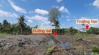 Chỉ còn 1 công đất vườn đẹp ở Nhơn Bình, Trà Ôn (cũ)!