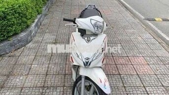 Shark 125 SWM