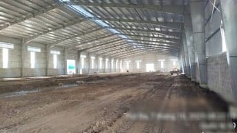 Cho thuê 3 kho xưởng Cần Giuộc Long An , 1 k: 3.000m2 (2 kho: 5.500m2)