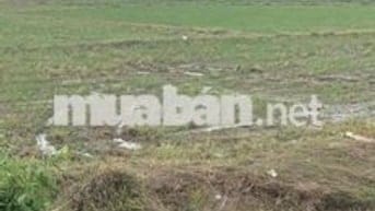 Diện tích: 31.681,1 Giá Bán: 53.857.870.000