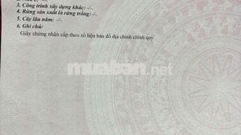 Chính chủ đứng tên giấy bán đất nền Tp Vị Thanh full thổ cư