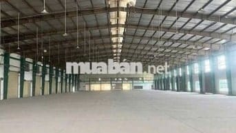 CHO THUÊ XƯỞNG 5488m² TRONG KHUÔN VIÊN 8.774m² TÂN PHÚ TRUNG - CỦ CHI