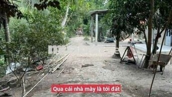 Bán nhà cũ gần cầu bưng trường, quốc lộ 53 vào hơn 1 cây số