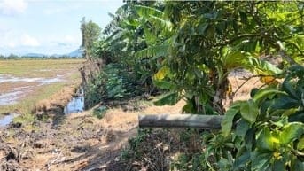 Đất Ruộng tại xã Giang Thành (An Giang mới)