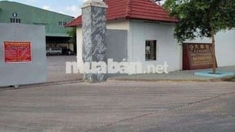 Bán đất tại xã trừ văn thố bàu bàng bình dương