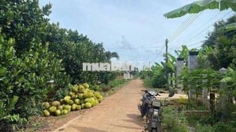 Sang nhượng đất vườn 1000m2 giá rẻ, công chứng ngay