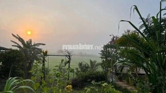 🌿 SIÊU PHẨM ĐẤT VƯỜN NGHỈ DƯỠNG GIÁP SUỐI - LA NGÀ ĐN - CHỈ 860 TRIỆU